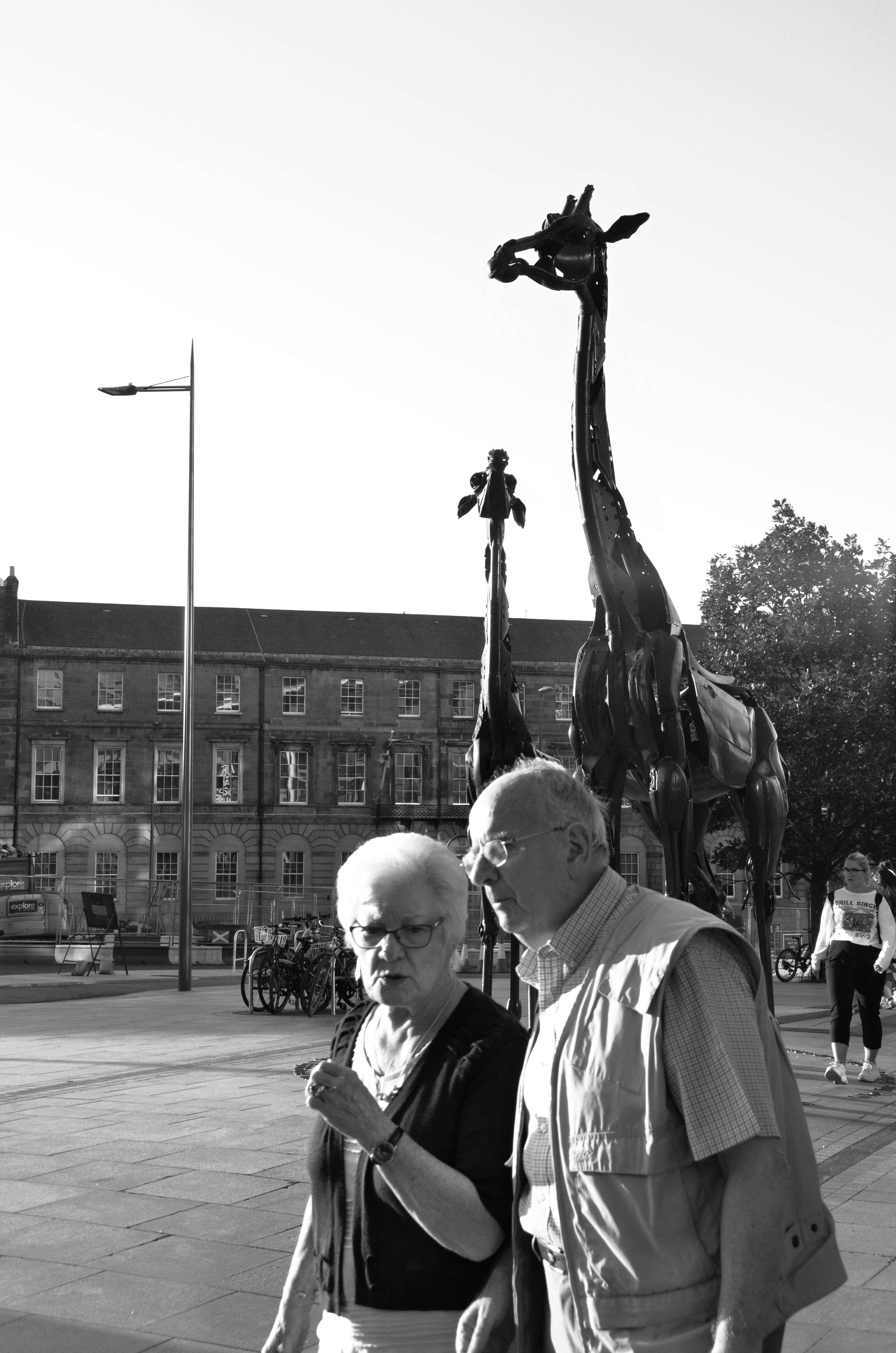 DSC_0317