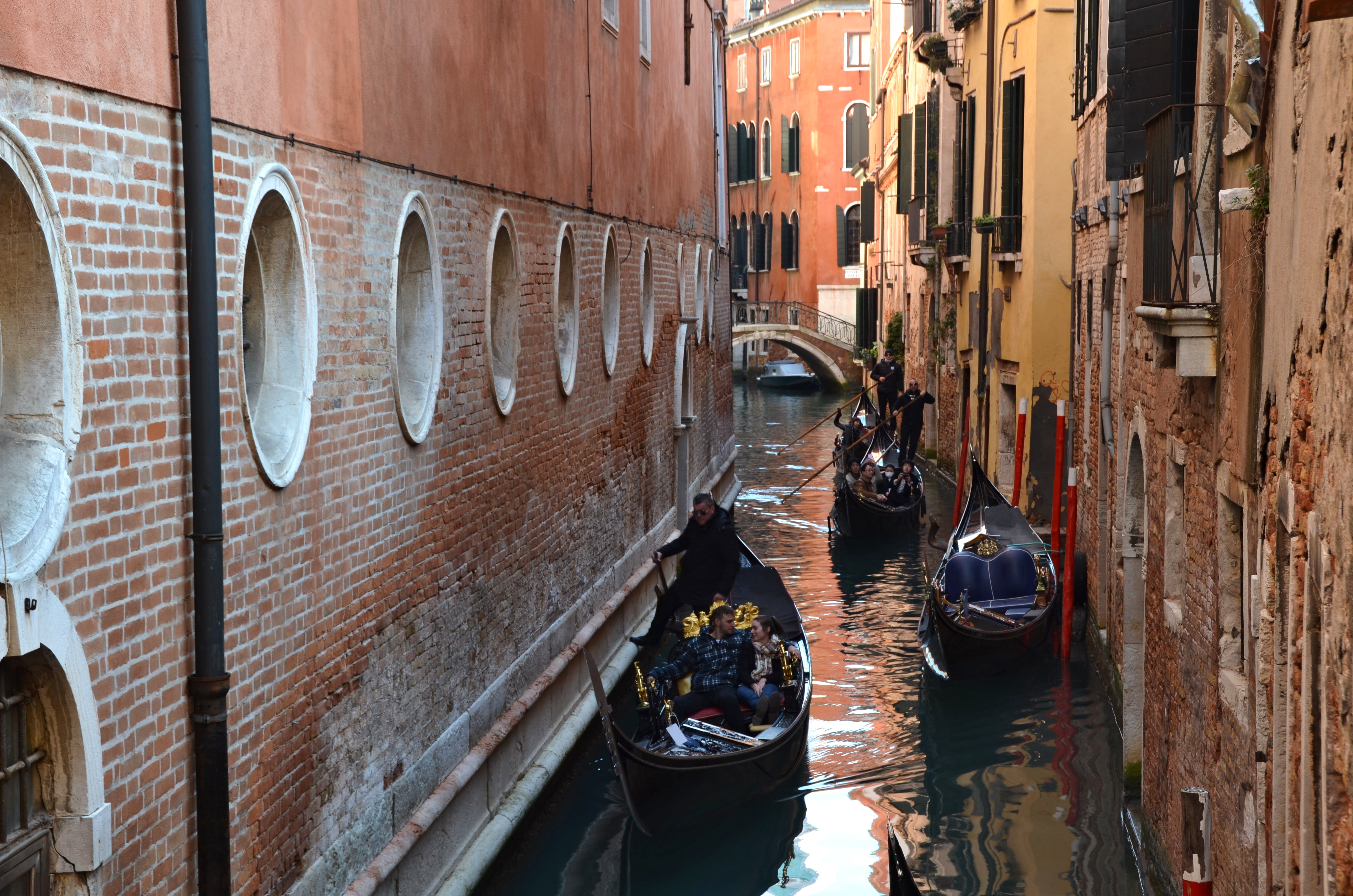 DSC_0112 (2)